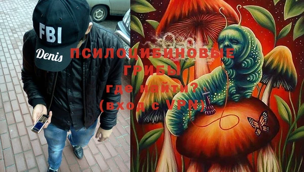 spice Дмитров