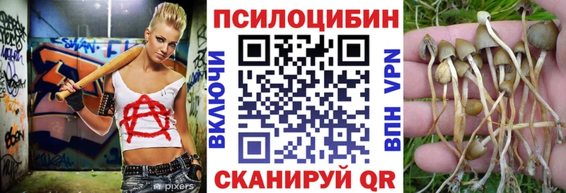 где продают наркотики  Полесск  Псилоцибиновые грибы прущие грибы 